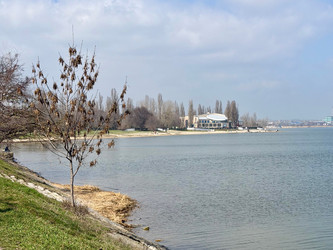 Similar image 22729998