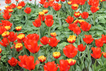 Similar image 22737963