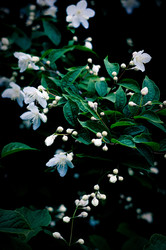 Similar image 22733527