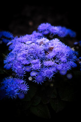 Similar image 22733529