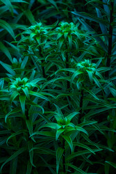 Similar image 22733532