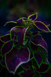 Similar image 22733534