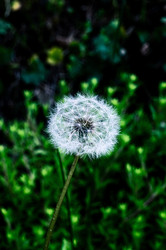 Similar image 22733535