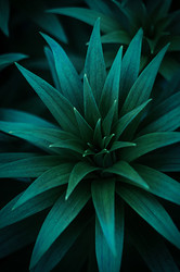 Similar image 22733538