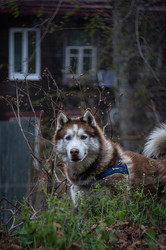 Similar image 22733541