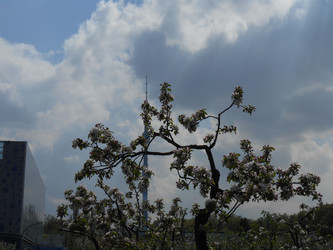 Similar image 22738053