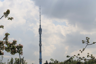 Similar image 22738054