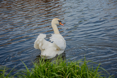Similar image 22735261
