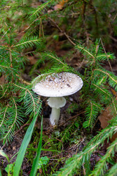 Similar image 22735186