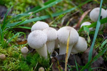 Similar image 22735190