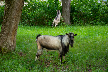 Similar image 22735194