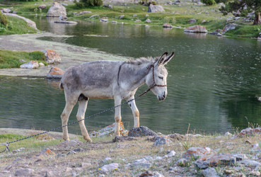 Similar image 22735207
