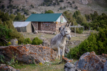 Similar image 22769113