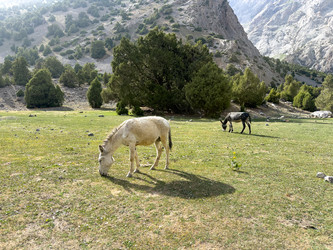 Similar image 22769147