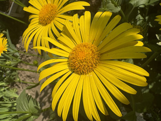 Similar image 22735120
