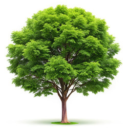 Similar image 22753739