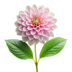 Similar image 22753006