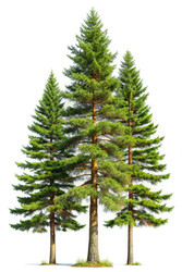 Similar image 22750805
