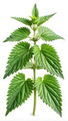 Similar image 22753276