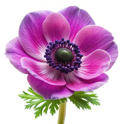 Similar image 22751511
