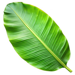 Similar image 22746239
