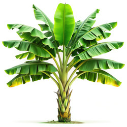 Similar image 22743704