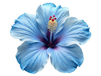 Similar image 22744293