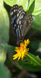 Similar image 22738091