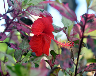 Similar image 22738098