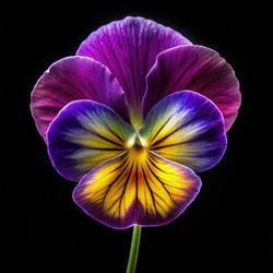 Similar image 22744008