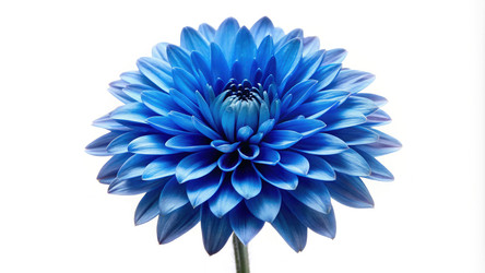 Similar image 22744101