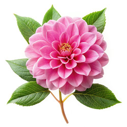 Similar image 22744267