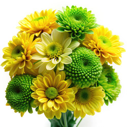 Similar image 22744583