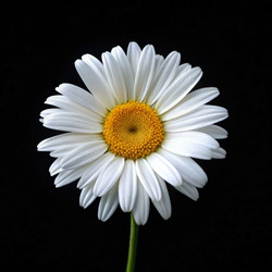Similar image 22744758