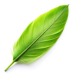 Similar image 22742825