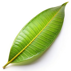 Similar image 22744817