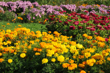 Similar image 22737980