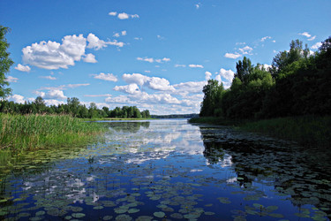 Similar image 22729691