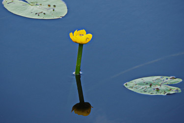 Similar image 22729693