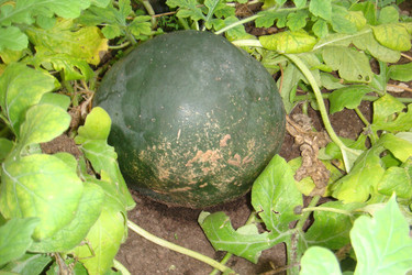 Similar image 22738010