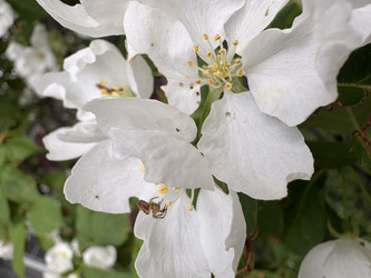 Similar image 22735121
