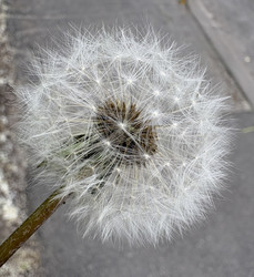 Similar image 22735122