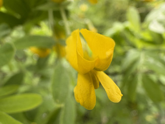 Similar image 22735126