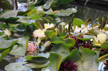 Similar image 22738042