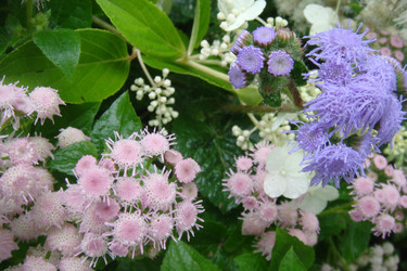 Similar image 22738057