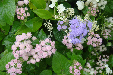 Similar image 22738058