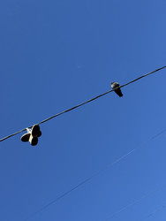 Similar image 22758923
