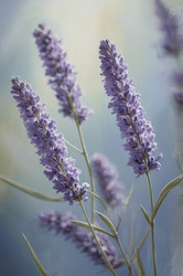 Similar image 22741028