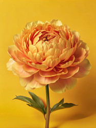 Similar image 22738527