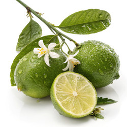 Similar image 22740745
